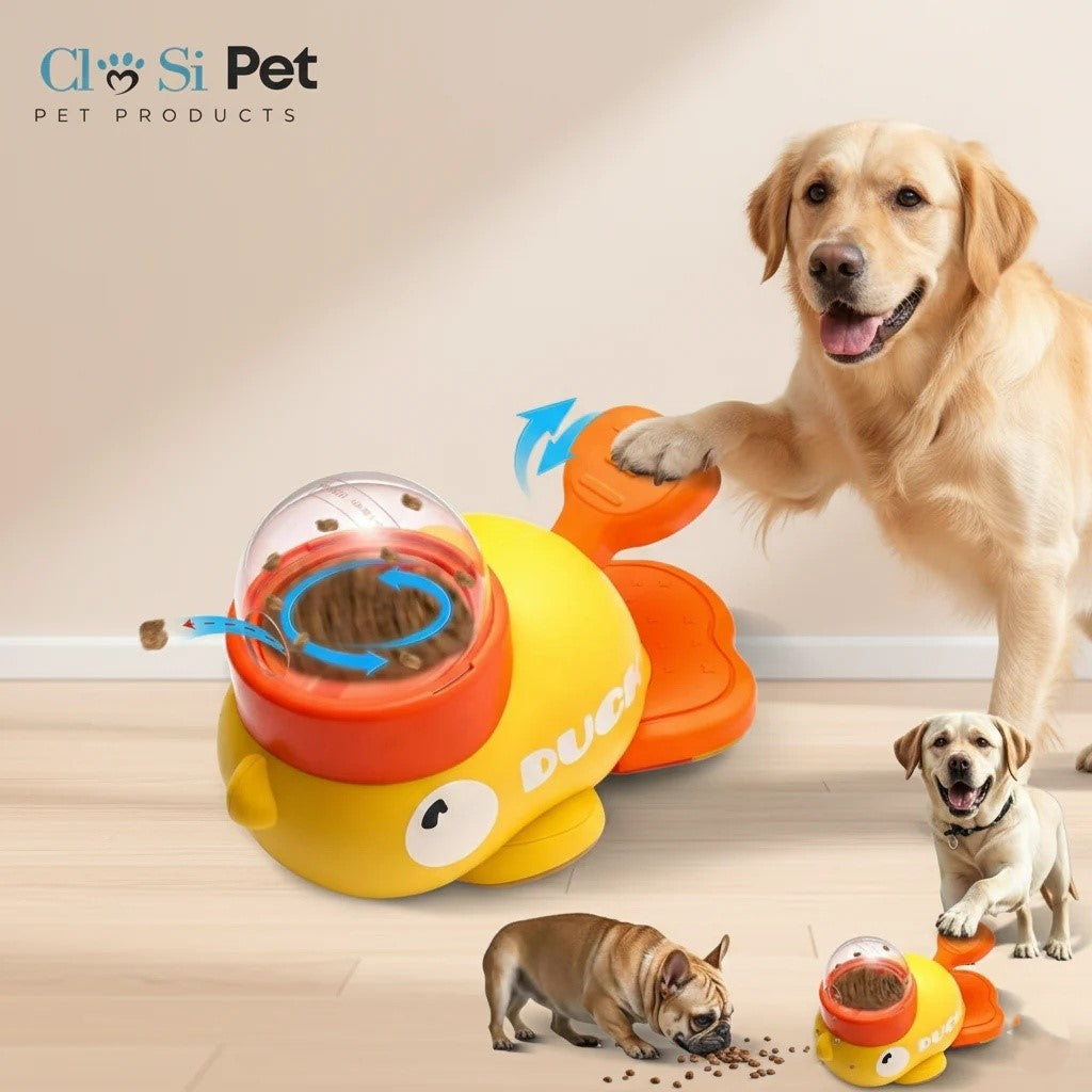 מאמן המוח והחטיפים